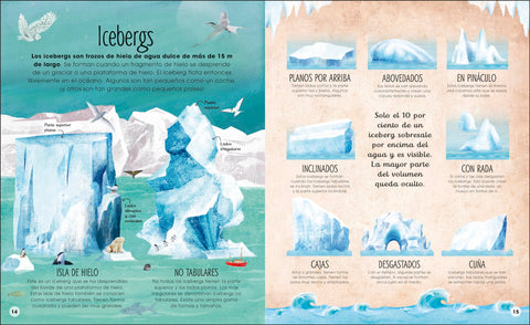Image of La Vida Secreta del Hielo