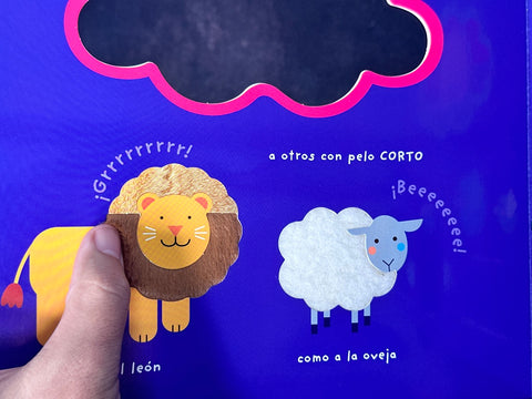 Image of EL ARCA DE NOE COLECCION TOCA Y JUEGA