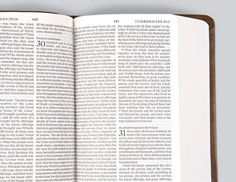 Image of ESV VALUE LARGE PRINT COMPACT BIBLE (TRUTONE, TEAL, ORNAMENT DESIGN)