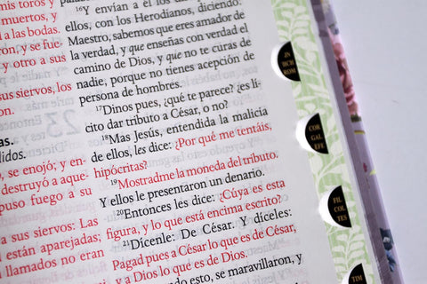 Image of BIBLIA RVR 1960 LETRA GIGANTE TAPA DURA FLORES MORADAS CANTOS PINTADO INDICE