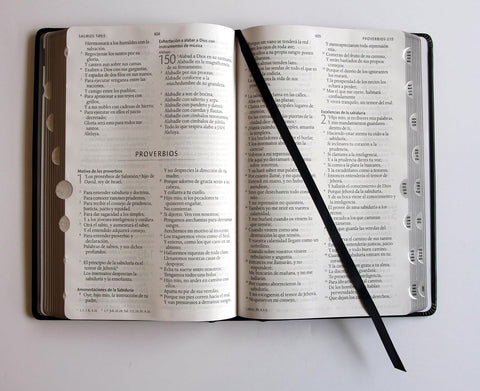 Image of BIBLIA RVR 1960 LETRA GRANDE TAMANO MANUAL LEON DE JUDA PLATA INDICE CANTO NEGRO