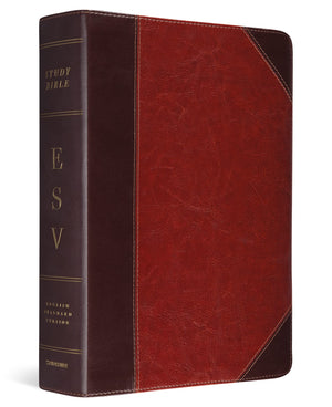 ESV STUDY BIBLE (TRUTONE BROWN/CORDOVAN PORTFOLIO DESIGN)