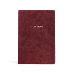 KJV RAINBOW STUDY BIBLE, BURGUNDY, LT