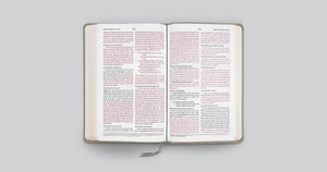 ESV THINLINE BIBLE (TRUTONE, STONE, BRANCH DESIGN)