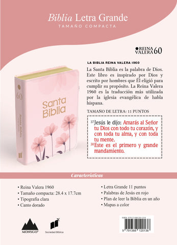 Image of Biblia RVR 1960 Compacta Letra Grande 11 Puntos Símil Piel Floral Rosadas