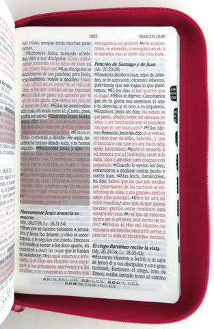 Image of Biblia RVR 1960 Promesas Letra Grande Tamaño Manual Rosada Cierre con Índice