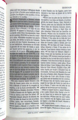 Image of Biblia RVR 1960 Promesas Letra Grande Tamaño Manual Rosada