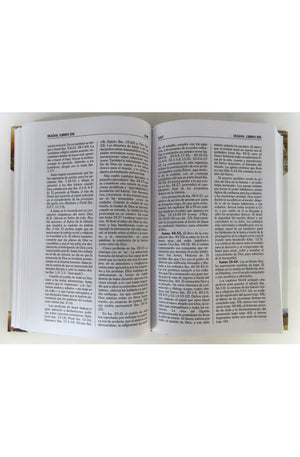 Diccionario Bíblico Conciso Holman