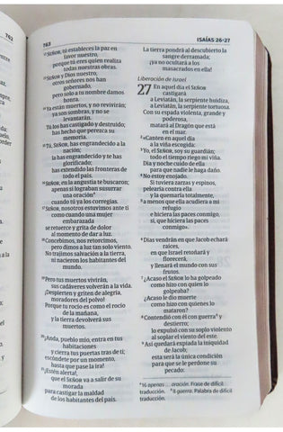 Image of Biblia NVI Compacta Letra Grande Marrón Piel Fabricada