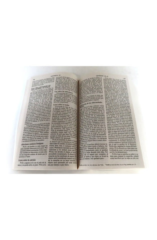 Image of Biblia NVI Rustica Libre entre Rejas