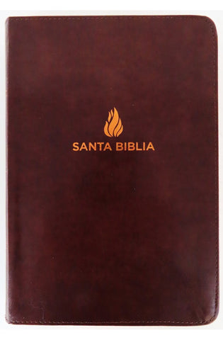 Image of Biblia RVR 1960 Letra Grande Tamaño Manual Piel Marrón