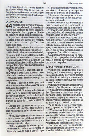 Biblia RVR 1960 Letra Grande Tapa Dura el León