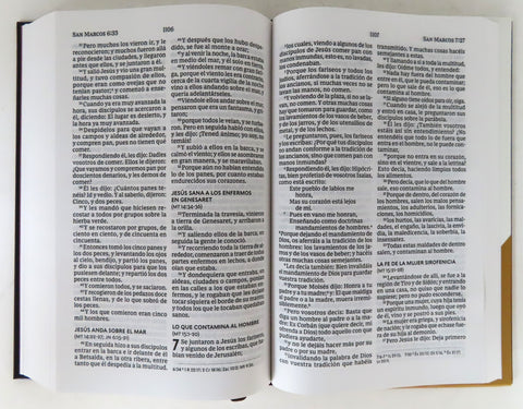 Image of Biblia RVR 1960 Letra Grande Tapa Dura el León