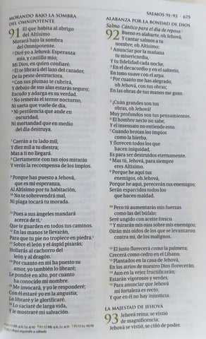 Image of Biblia RVR 1960 de Estudio Temática Miguel Núñez Piel Duotono Marrón