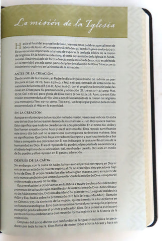 Image of Biblia RVR 1960 de Estudio Temática Miguel Nuñez Piel Genuina Negro