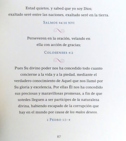 Image of Jesús Te Llama para Mamás