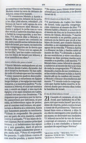 Image of Biblia RVR 1960 Compacta Marrón Piel Fabricada