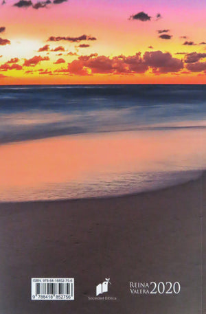 Biblia RVR 2020 Económica Playa Rústica