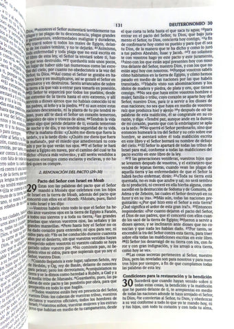 Image of Biblia RVR 2020 Económica Playa Rústica