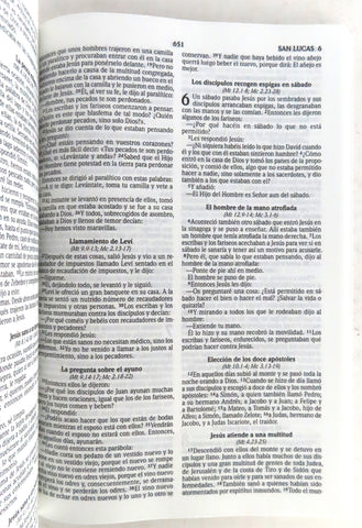 Image of Biblia RVR 2020 Económica Lámpara Rústica