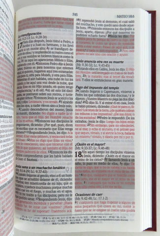Image of Biblia RVR 1960 Promesas Vino Tapa Dura con Concordancia