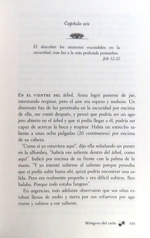 Image of Milagros del Cielo