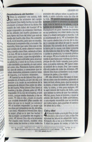 Image of Biblia RVR 1960 de Promesas Tamaño Manual Negro Símil Piel con Cierre