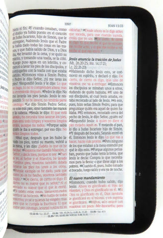 Image of Biblia RVR 1960 de Promesas Tamaño Manual Negro Símil Piel con Cierre