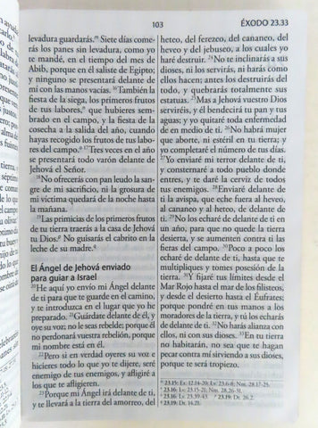 Image of Biblia RVR 1960 Letra Súper Gigante Fucsia Rosada Símil Piel