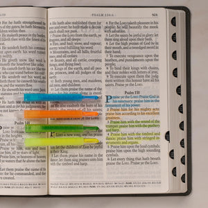 Pack de 4 Marcaderos Retráctiles de Biblia