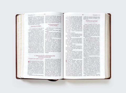 Image of Biblia Católica Leathersoft Café