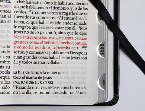 Image of BIBLIA RVR 1960 LETRA GRANDE TAMANO MANUAL LEON DE JUDA PLATA INDICE CANTO NEGRO