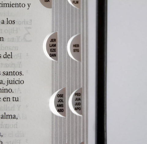 Image of BIBLIA RVR 1960 LETRA GRANDE TAMANO MANUAL LEON DE JUDA PLATA INDICE CANTO NEGRO