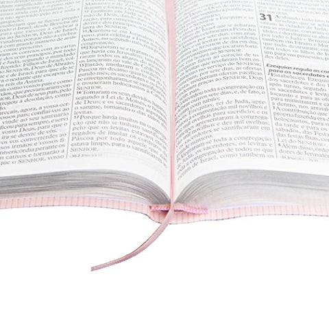 Image of BIBLIA EM PORTUGUES RA065TILG TAPA IMITACION CUERO ROSA CLARO INDICE DIGITAL