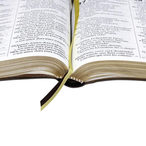 Image of BIBLIA EM PORTUGUES NTLH085TILEXG TAPA IMITACION CUERO MARRON OCURO INDICE DIGITAL