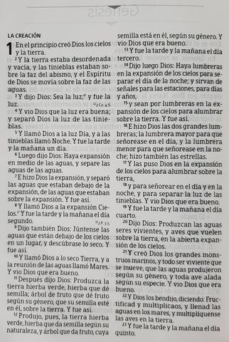 Image of Biblia RVR 1960 Letra Grande Tamaño Manual Negro
