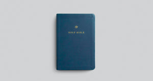 ESV GIFT AND AWARD BIBLE (TRUTONE, BLUE)
