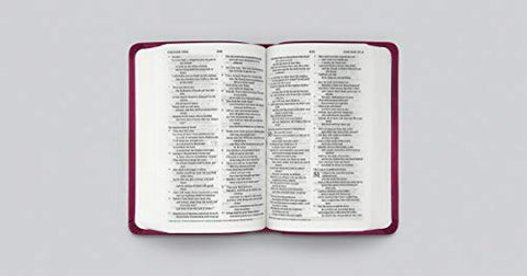 Image of ESV VALUE COMPACT BIBLE (TRUTONE, RASPBERRY, FLORAL DESIGN)