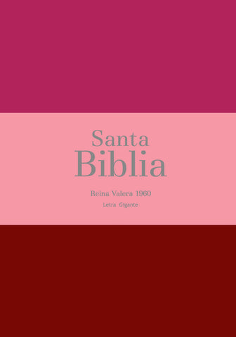 Image of BIBLIA RVR 1960 LETRA GIGANTE 14 PUNTOS SIMIL PIEL TRICOLOR FUCSIA ROSADO ROJO GRANATE CON CIERRE E INDICE