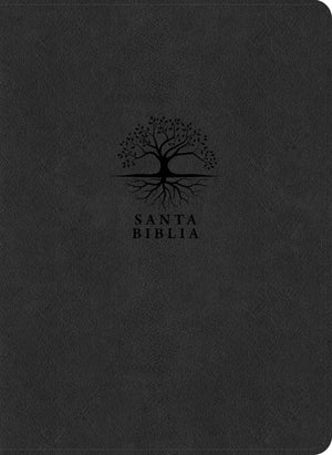 Biblia RVR 1960 de Estudio del Diario Vivir Letra Grande Símil Piel Carbón Letra Roja