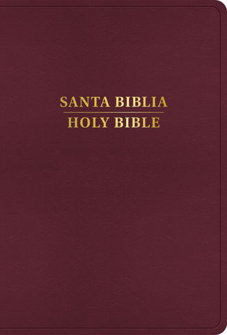 Image of Biblia RVR 1960 KJV Bilingüe Letra Grande Borgoña Símil Piel