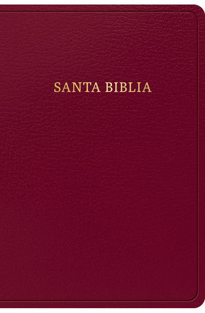 Biblia RVR 1960 Letra Grande Tamaño Manual Borgoña Símil Piel
