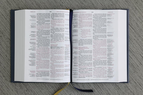 Image of NASB Thompson Chain-Reference Bible Hardcover 1995 Text Red Letter Comfort Print