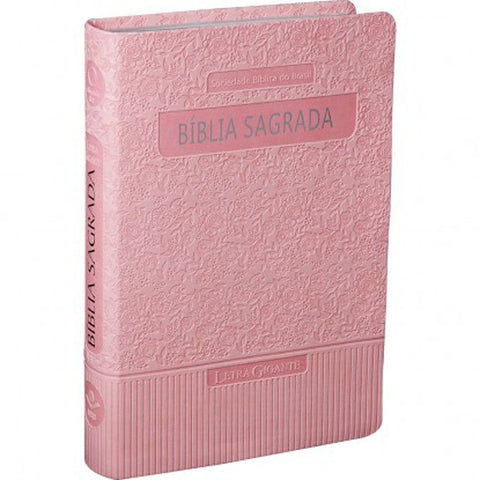 Image of BIBLIA EM PORTUGUES RA065TILG TAPA IMITACION CUERO ROSA CLARO INDICE DIGITAL