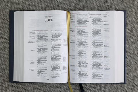 Image of NASB Thompson Chain-Reference Bible Hardcover 1995 Text Red Letter Comfort Print