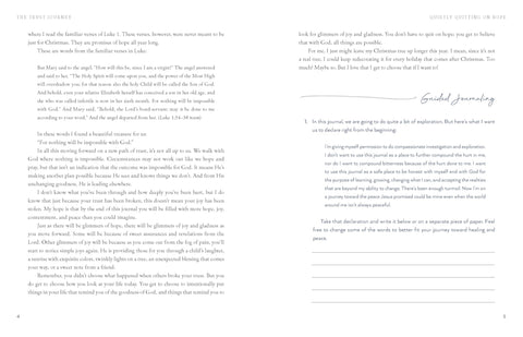 Image of The Trust Journey: Heal from Broken Trust with Others, Yourself, and God (A Guided Journal to Use Alongside I Want to Trust You, but I Don’t)