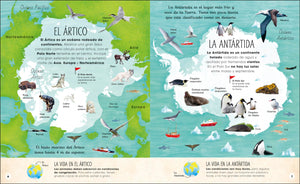 La Vida Secreta del Hielo