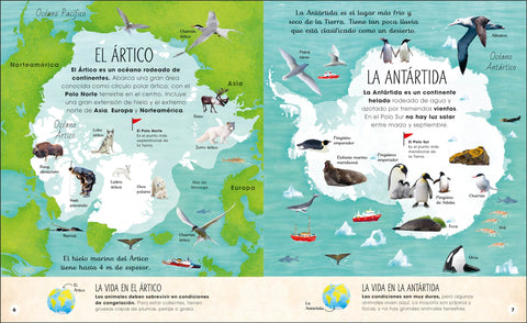 Image of La Vida Secreta del Hielo