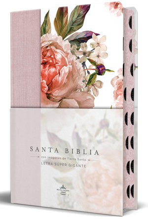 Biblia RVR 1960 Letra Súper Gigante Tapa Dura Contela y Flores Rosada Cantos Pintados índice