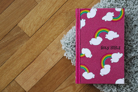 Image of NIV, GOD'S RAINBOW HOLY BIBLE